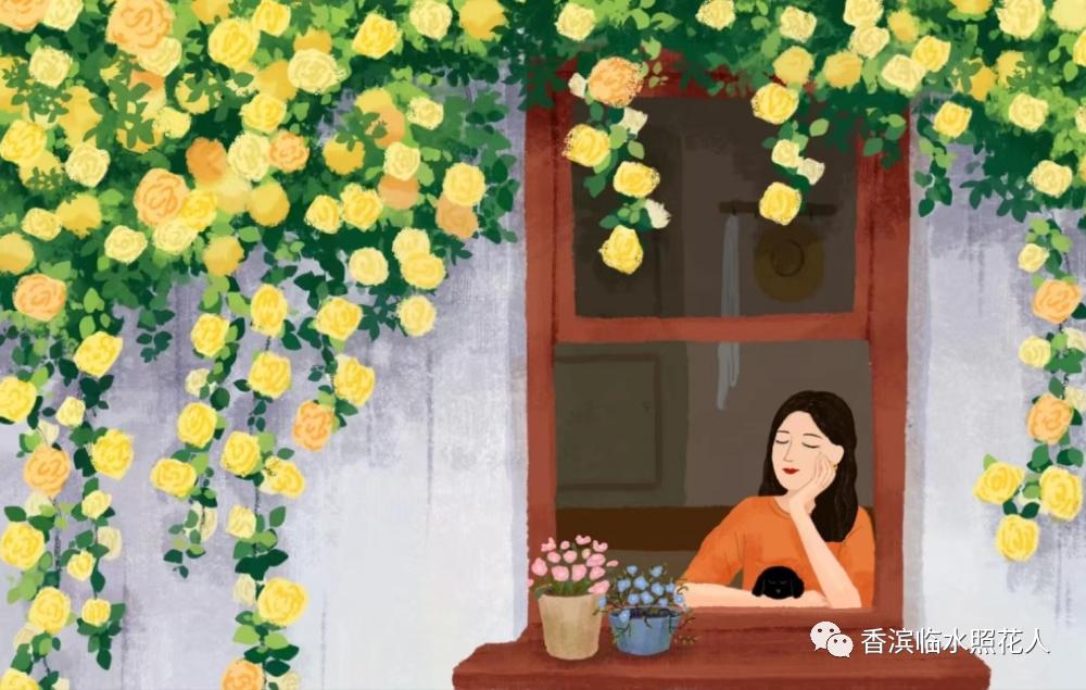 奋斗成就梦想600字的作文,奋斗成就梦想作文演讲稿