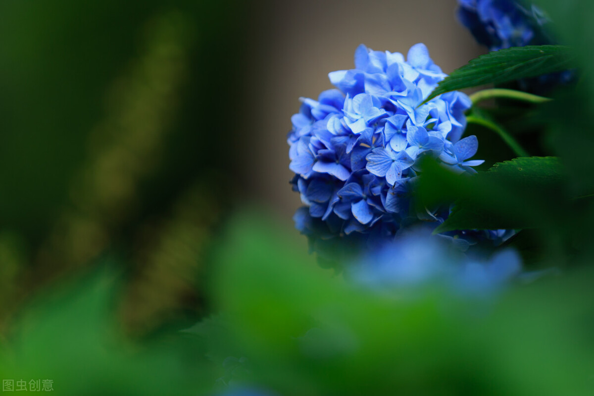 女人死了丈夫改嫁是什么心理,一个女人死了婆家是不是高兴