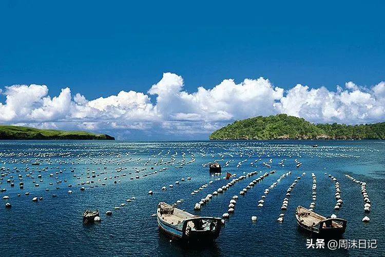 戴什么珍珠最有气质,什么气质适合戴珍珠耳钉