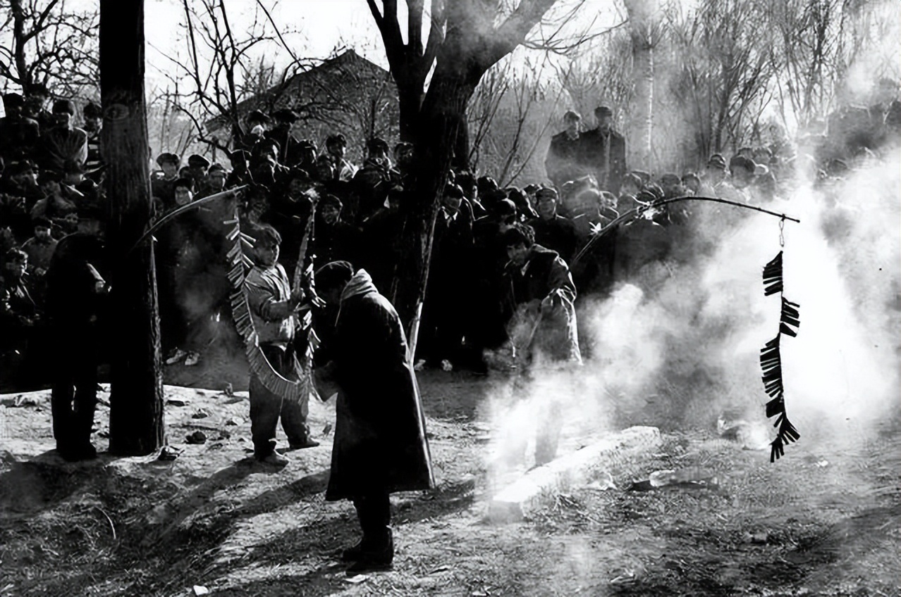 专家的“好建议”,让“何不食肉糜”这句千古名言始终充满生命力