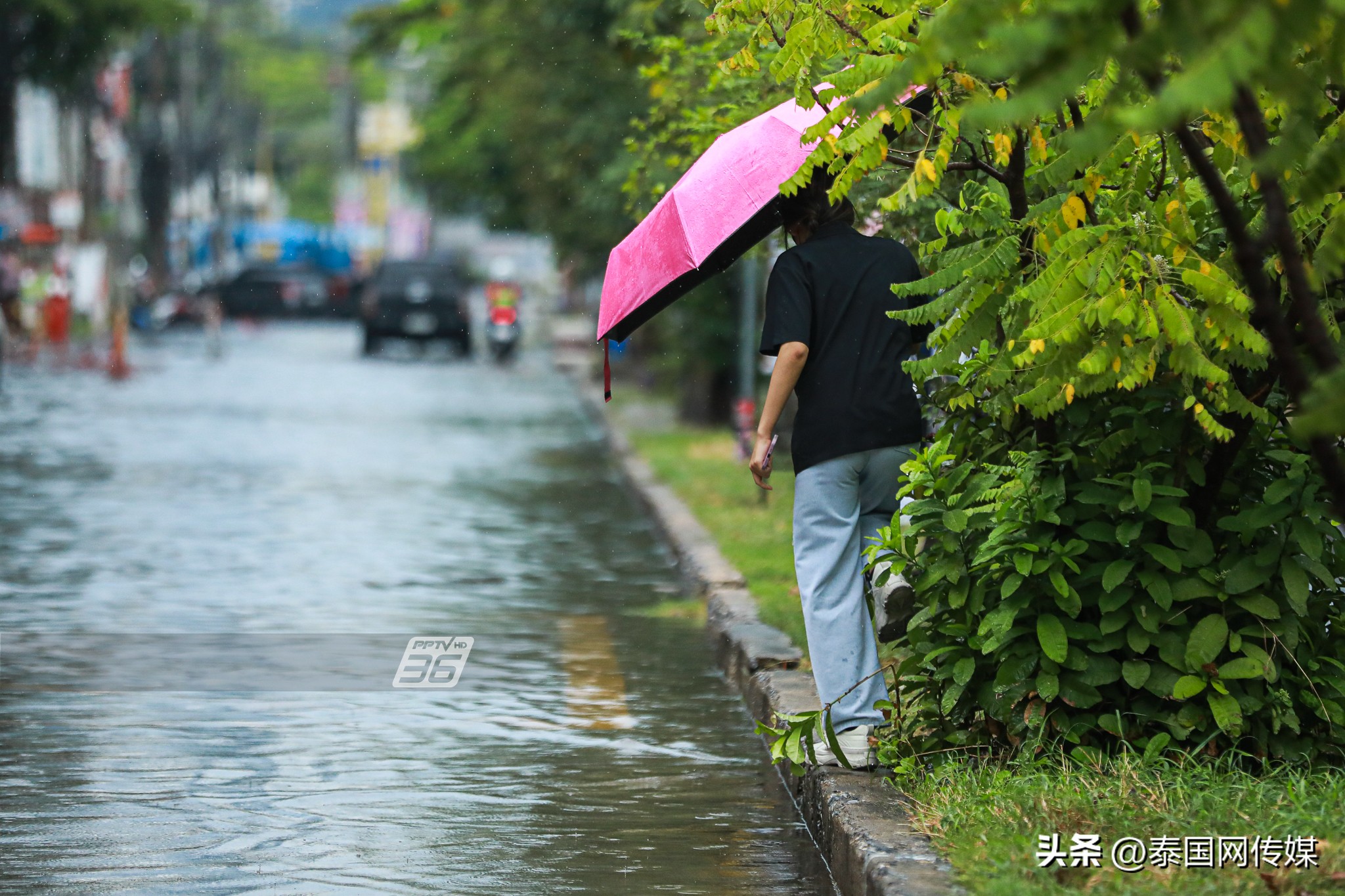 曼谷的暴雨一般要下多久,曼谷雨季道路淹没