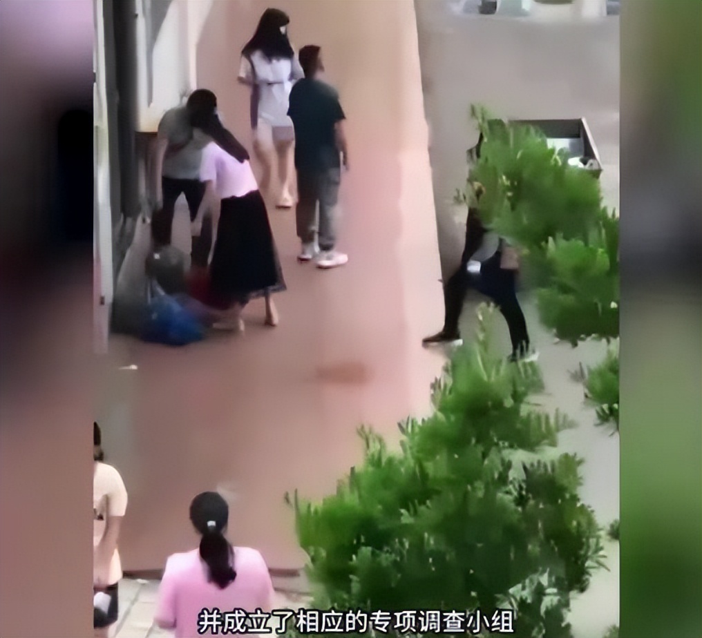 广东一学校扔了近百份外卖,广东一学校将学生外卖全扔垃圾桶