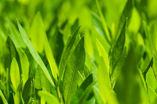 家长请老师去做美容怎样拒绝,母女做美容