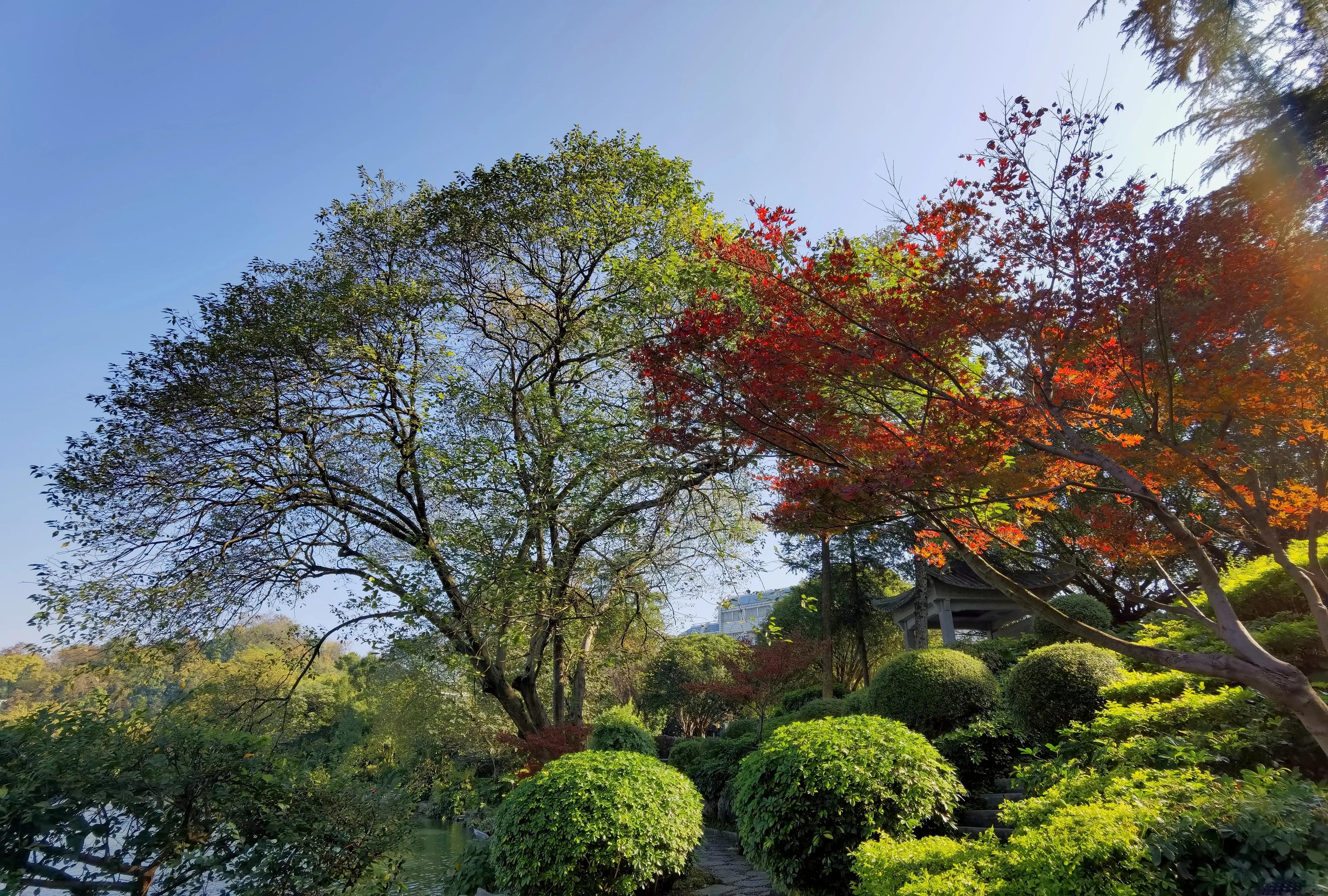 桂林的桂湖在哪里,桂林两江四湖之桂湖