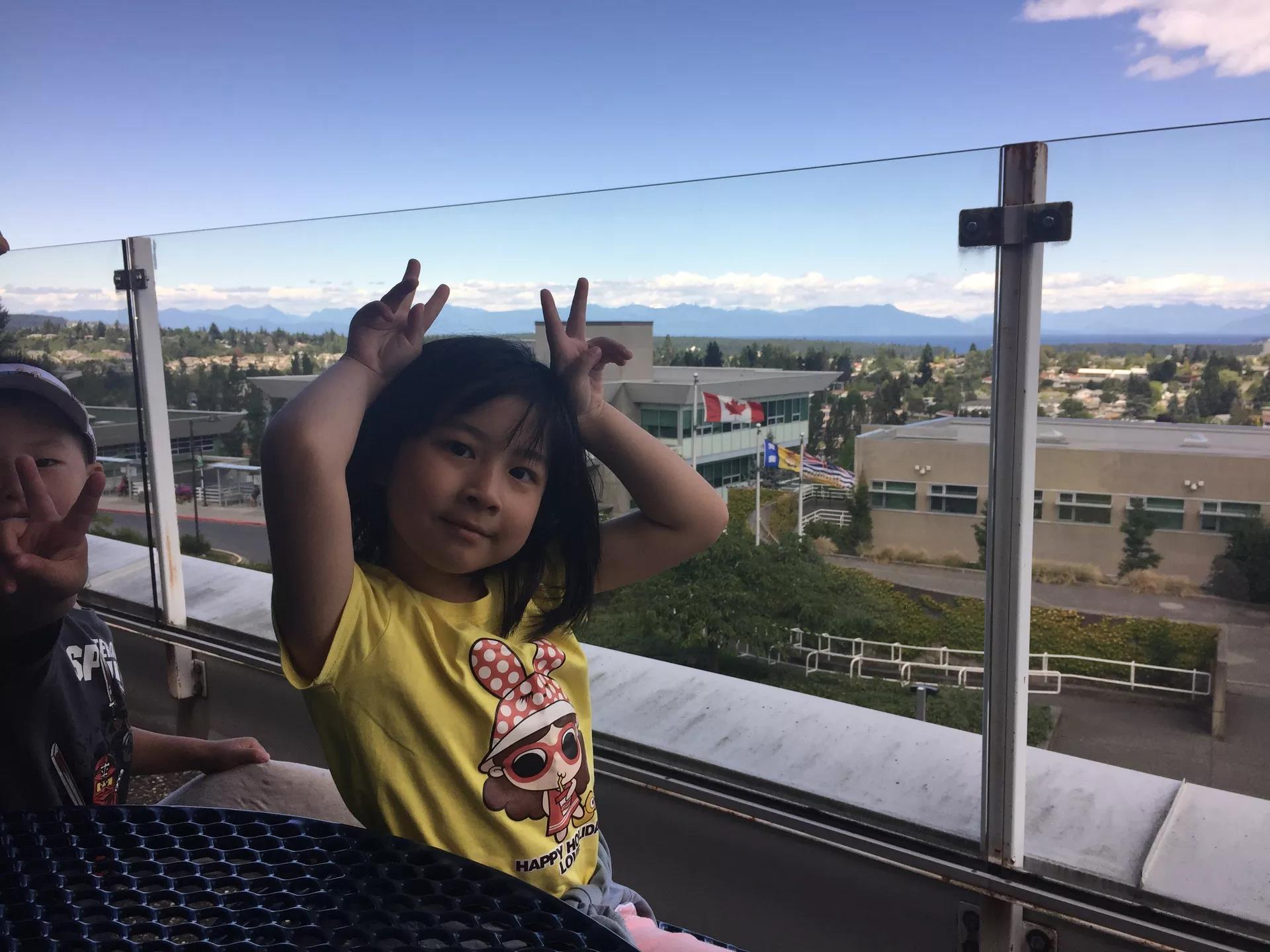 青岛如何带上猫猫去加拿大多伦多,钱猫猫加拿大之旅