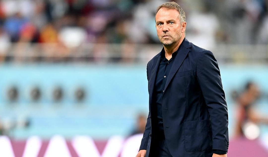 日本队击败德国评论,日本队输给中国队的感受