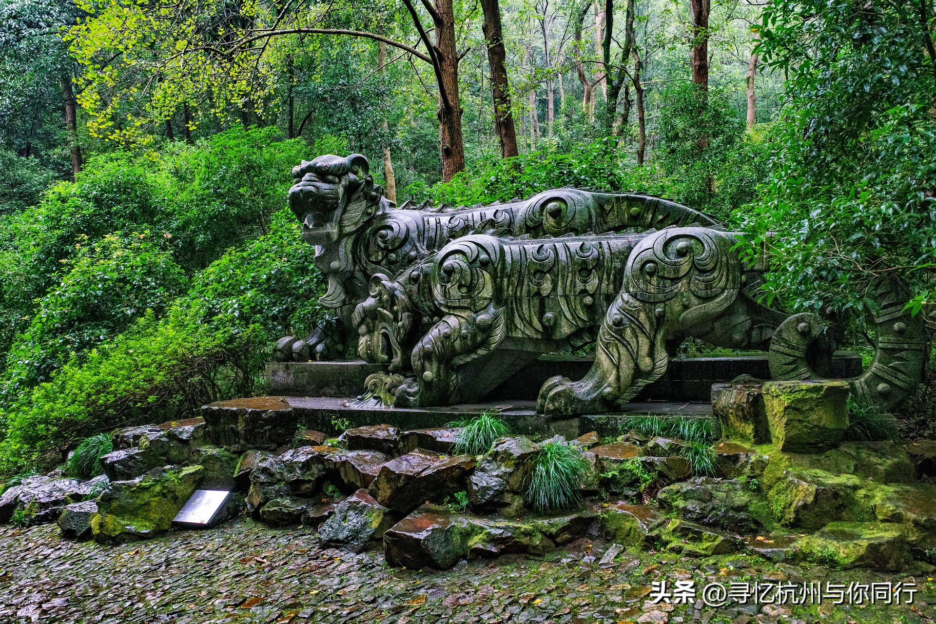 杭州三大景观古建筑,杭州三大名茶