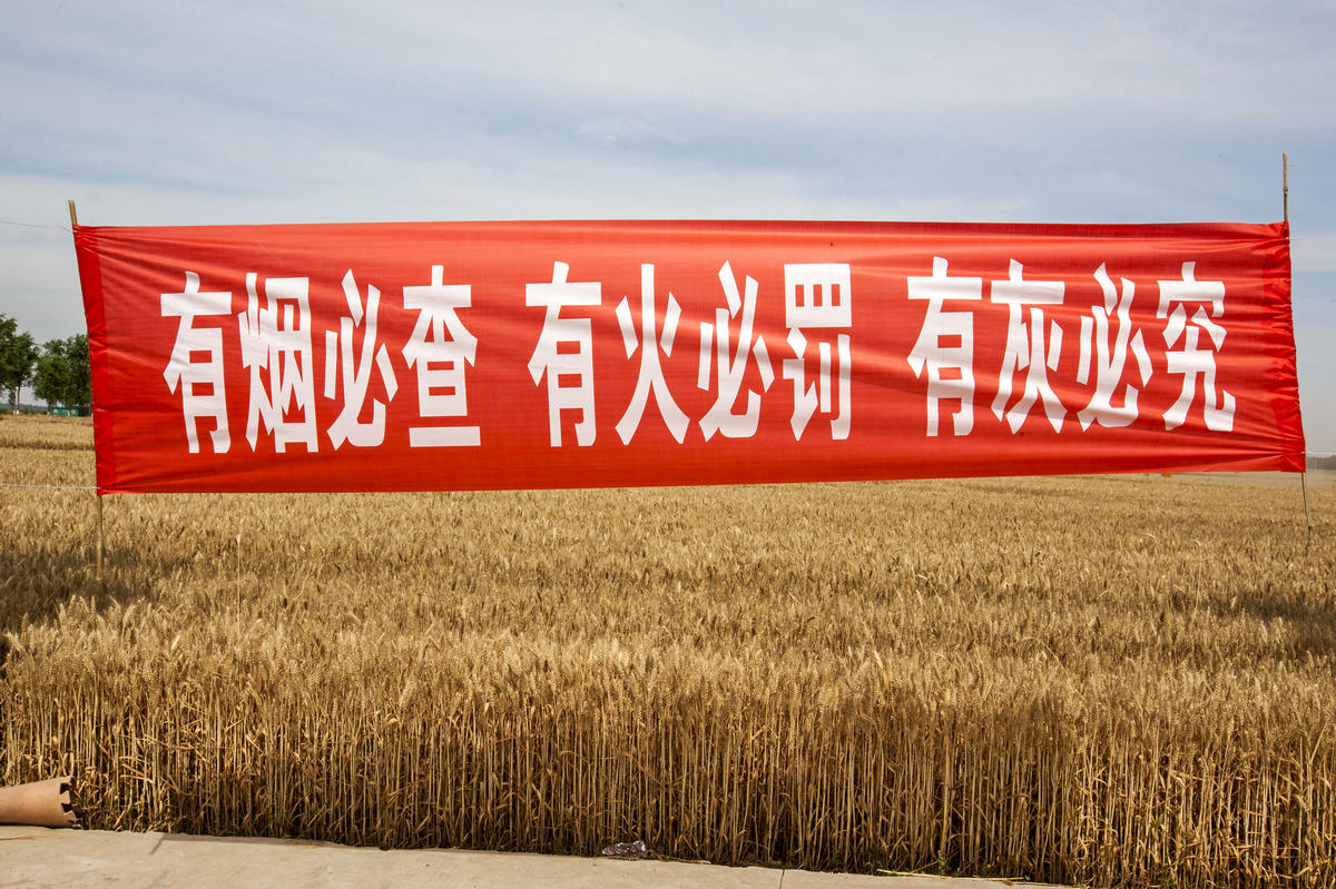 禁烧宣传标语,禁烧宣传标语图片