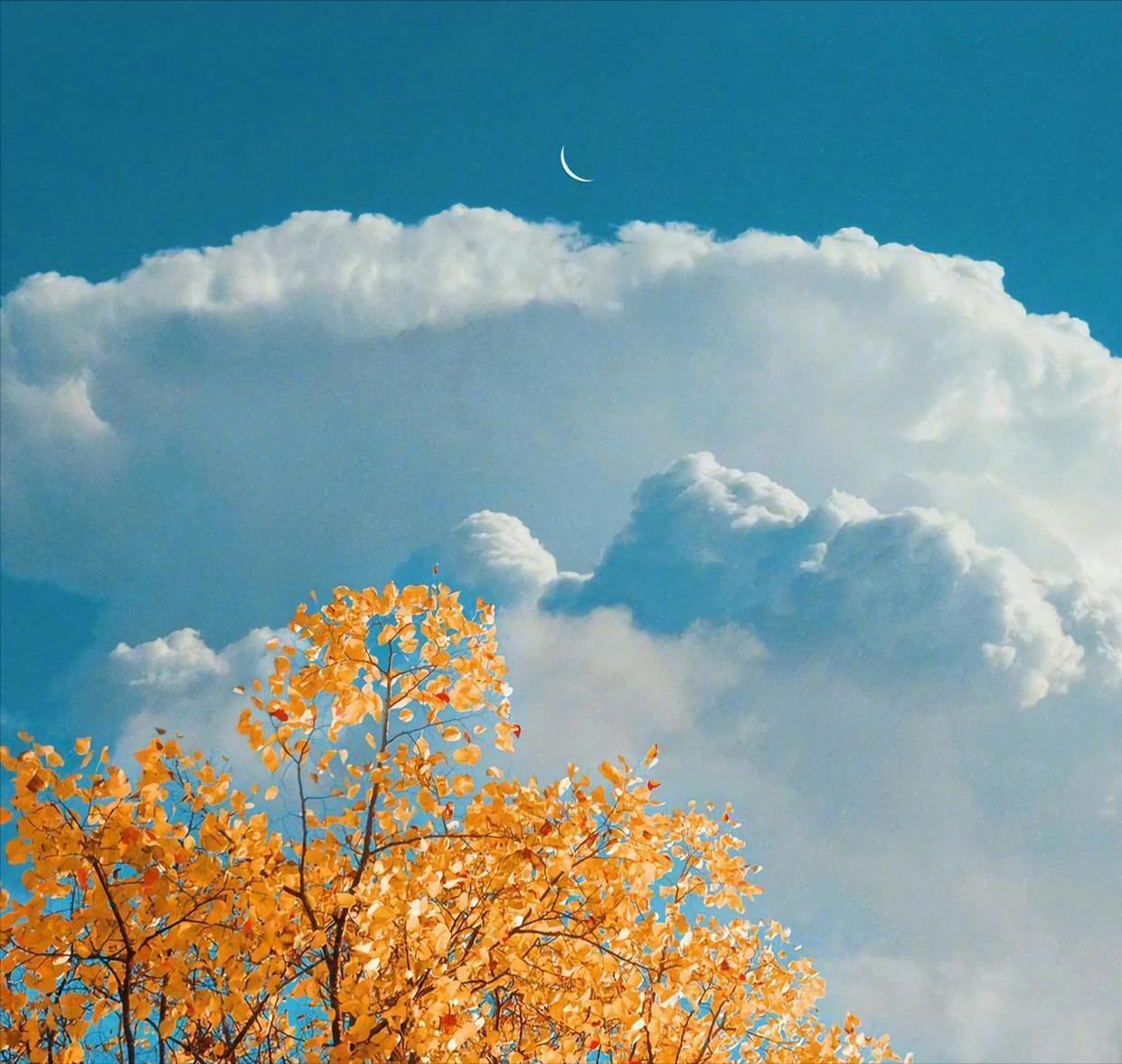 断联后男人多久会忍不住联系你,断联后男人开始思念你