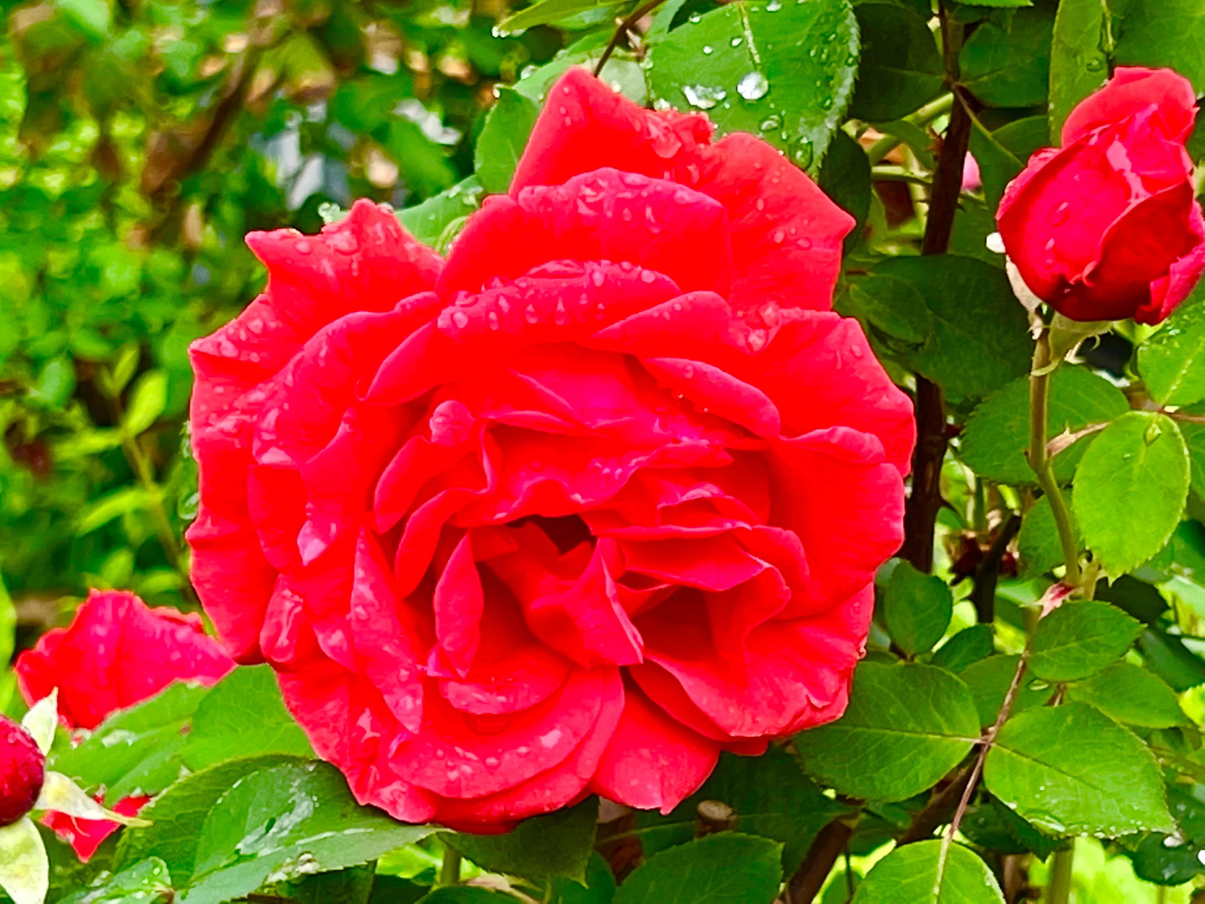 慧眼识得真金,人身上隐藏着神秘的“宝藏”,只是没有人去识别