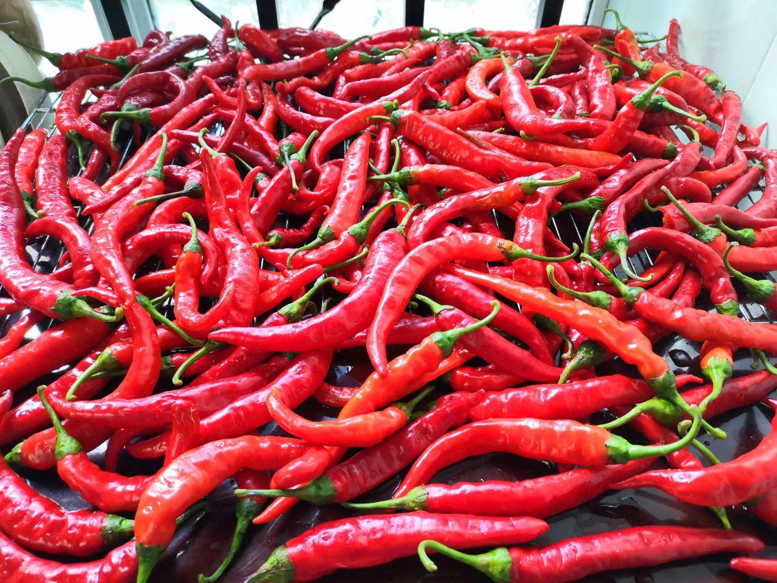 做辣椒酱放盐少了怎么追加,做辣椒酱不放盐不放油直接放酱油