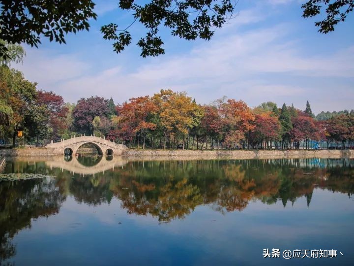 来南京不能错过的小众打卡地,南京江宁小众打卡点