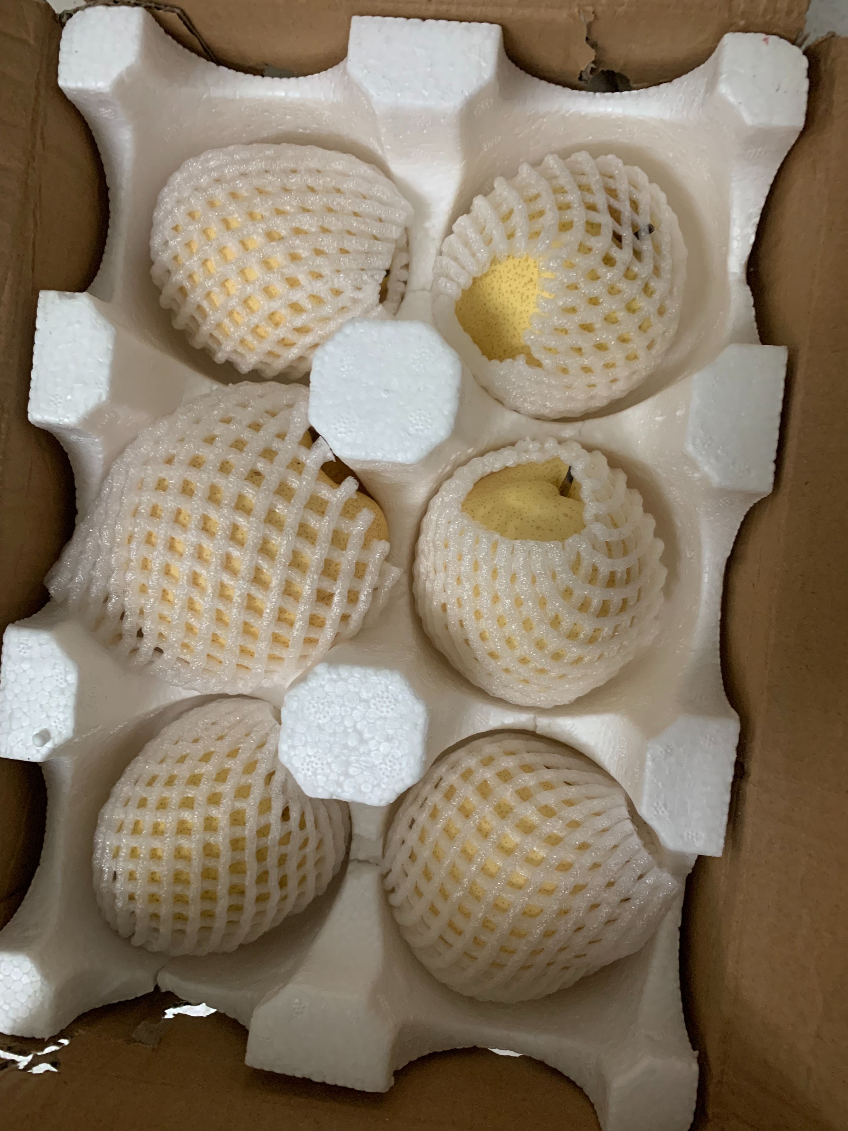 有多少人在蚂蚁森林种树了,有多少人在蚂蚁森林种树