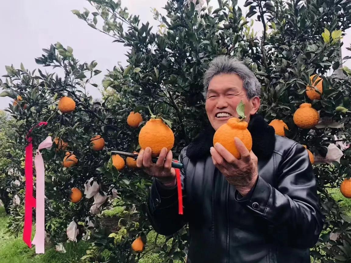 新手团长寻找供应链,新手招商团长该找怎样的商品