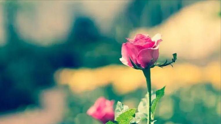 如果你的老公开始嫌弃你,当老公开始嫌弃你时该怎么办