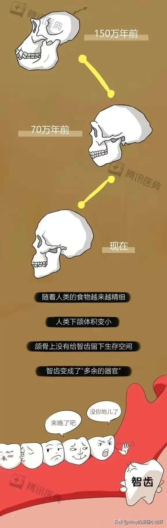 下智齿拔了上智齿正常不拔后果,不拔智齿怀孕有影响吗