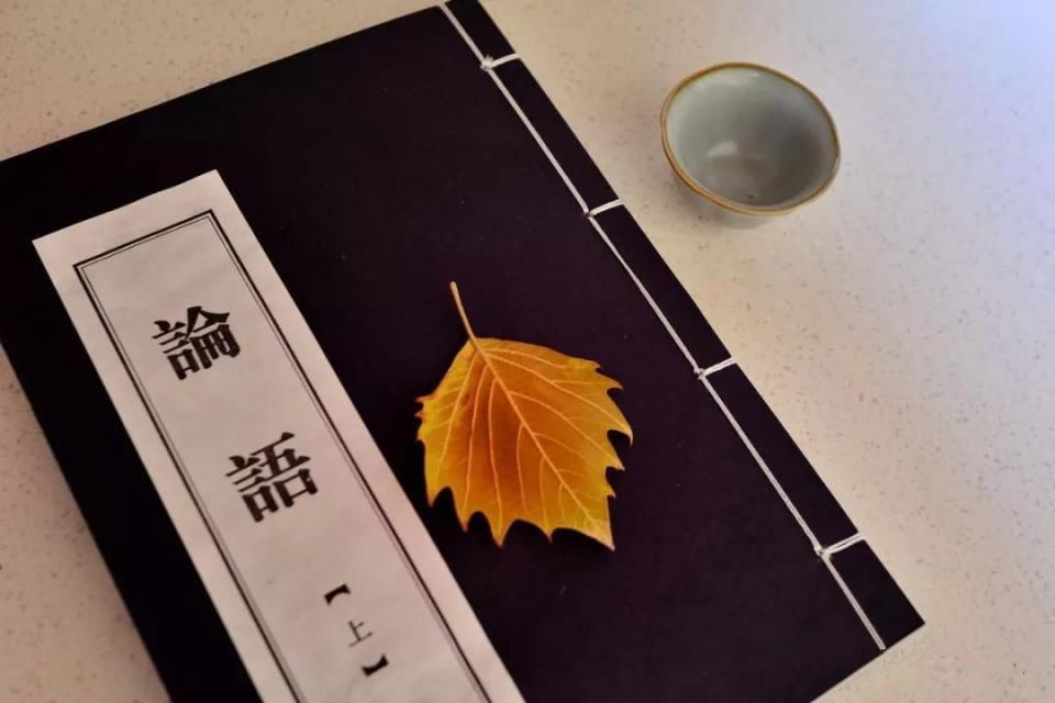 程振理的论语中的大智慧内容,士不可以不弘毅论语大智慧