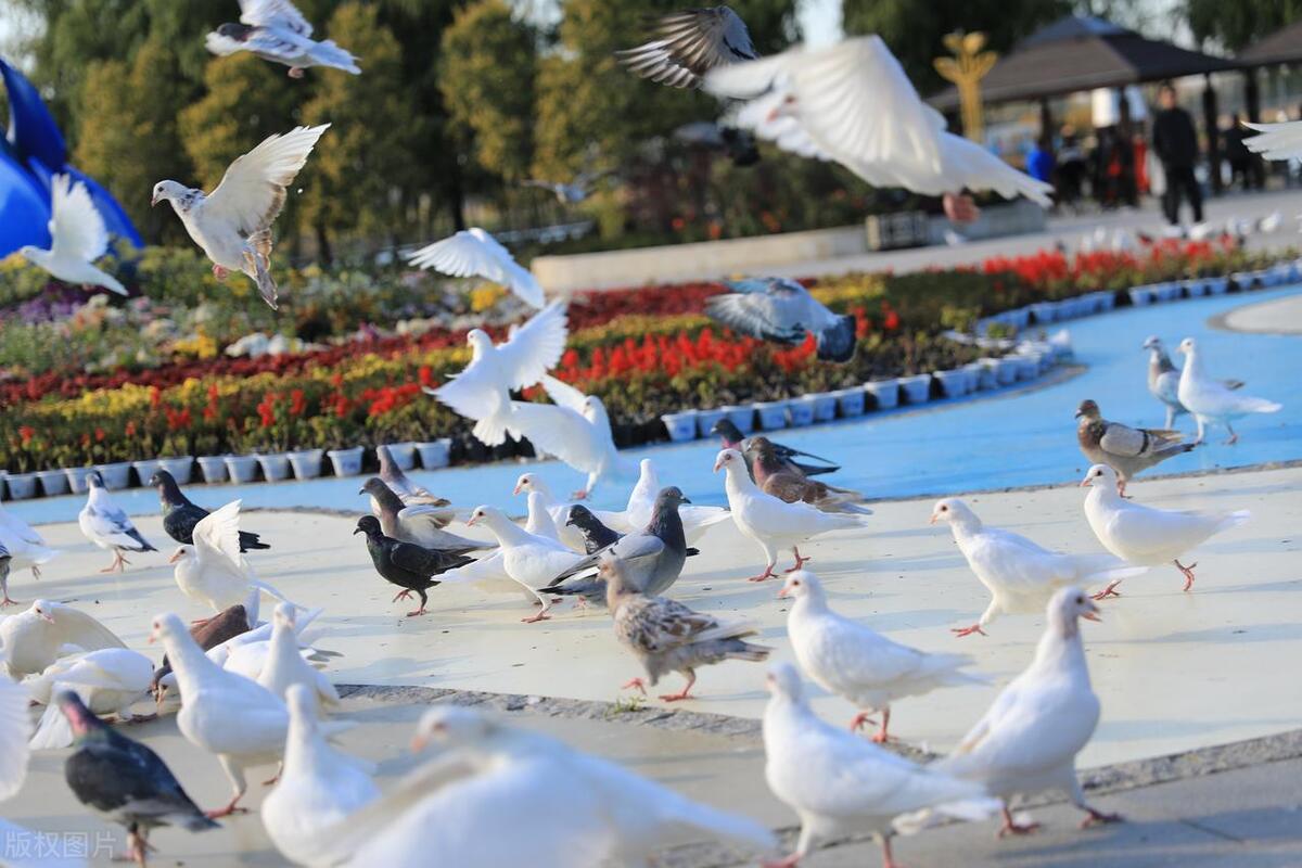 2022年春节秦皇岛免费景点一览表,秦皇岛必游十大景点