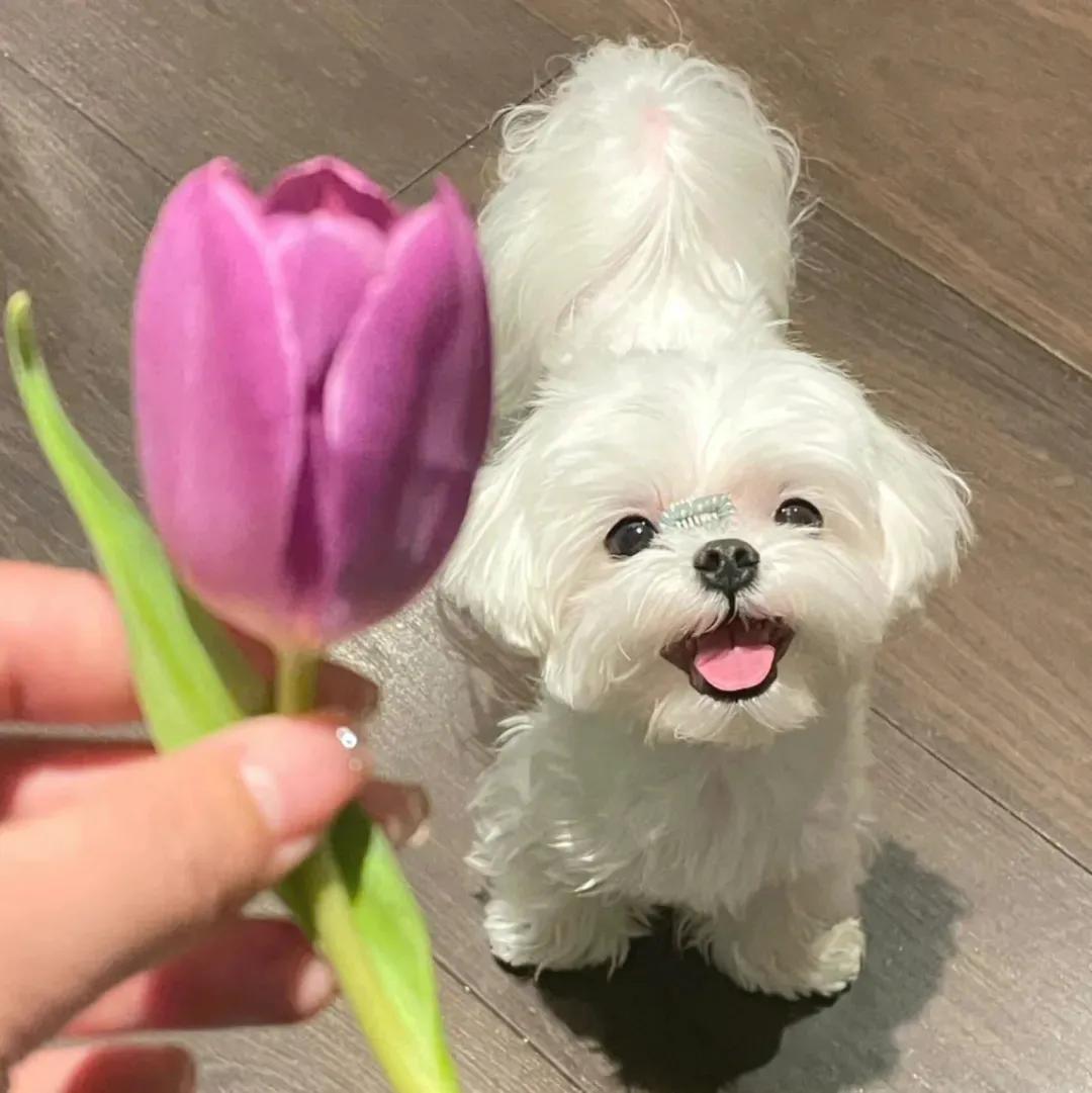 拽姐网名女生霸气,网名女生霸气昵称