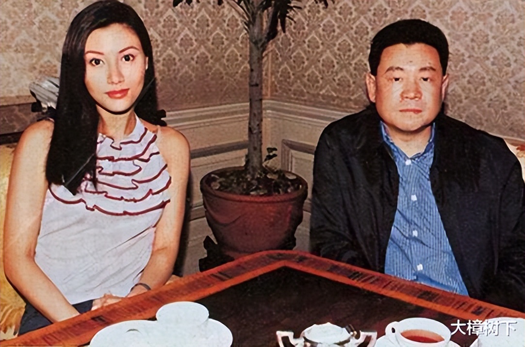 盘点嫁入豪门10大女明星,嫁入豪门女星盘点