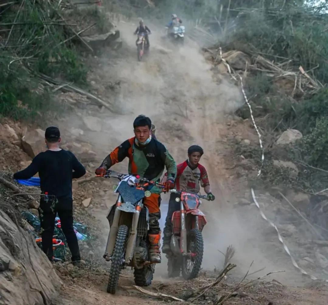 当年的重庆山火,重庆山火之后烧焦场景