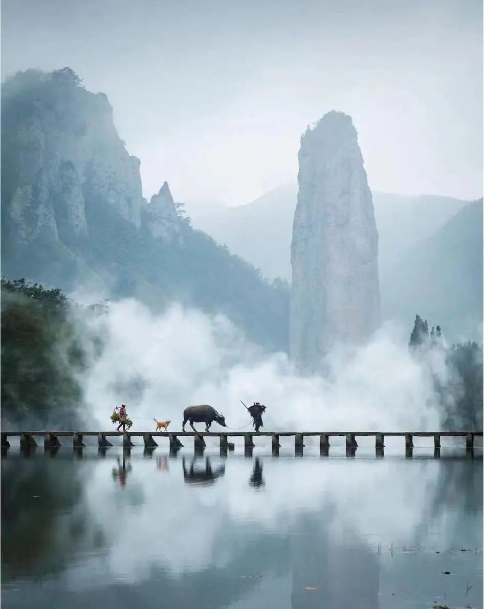 清明踏青不远行,这些宝藏打卡地哪个可以承包你的假期?