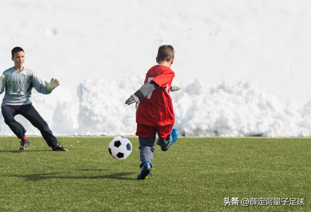 国产ai大模型最新进展,国产ai大模型本地部署