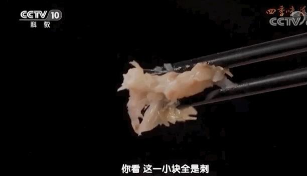 这座佛系安逸的江南老城被赞“全国最美森林火车站”