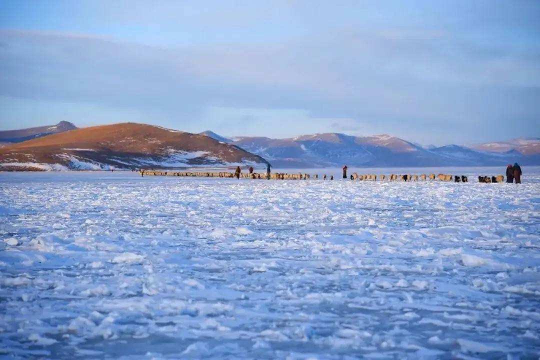 油鱼有多可怕,油鱼吃下去会怎样