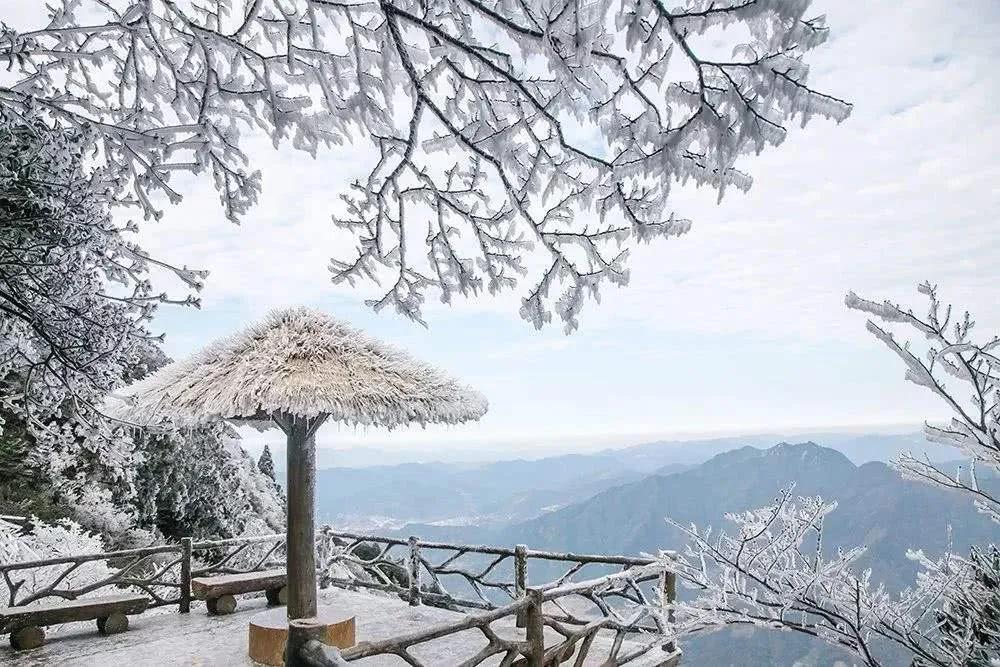 西子畔文学社0119期，方丈山边花正艳，蓬莱岛上雨初晴