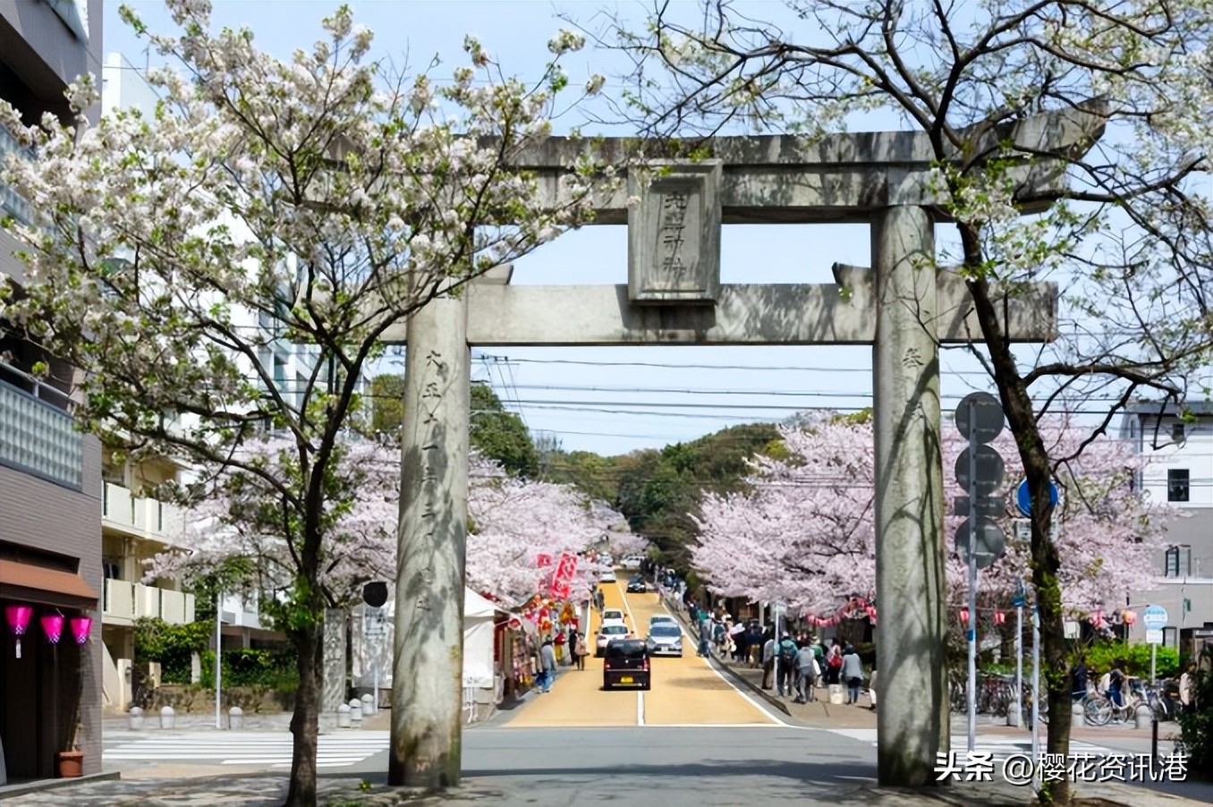 日本春季旅游攻略图,秋季日本旅游路线推荐