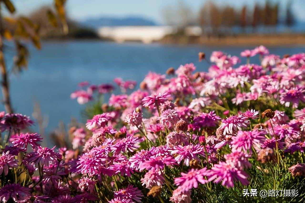 中国最适合避暑的城市有哪些,国内夏季最适宜避暑的城市