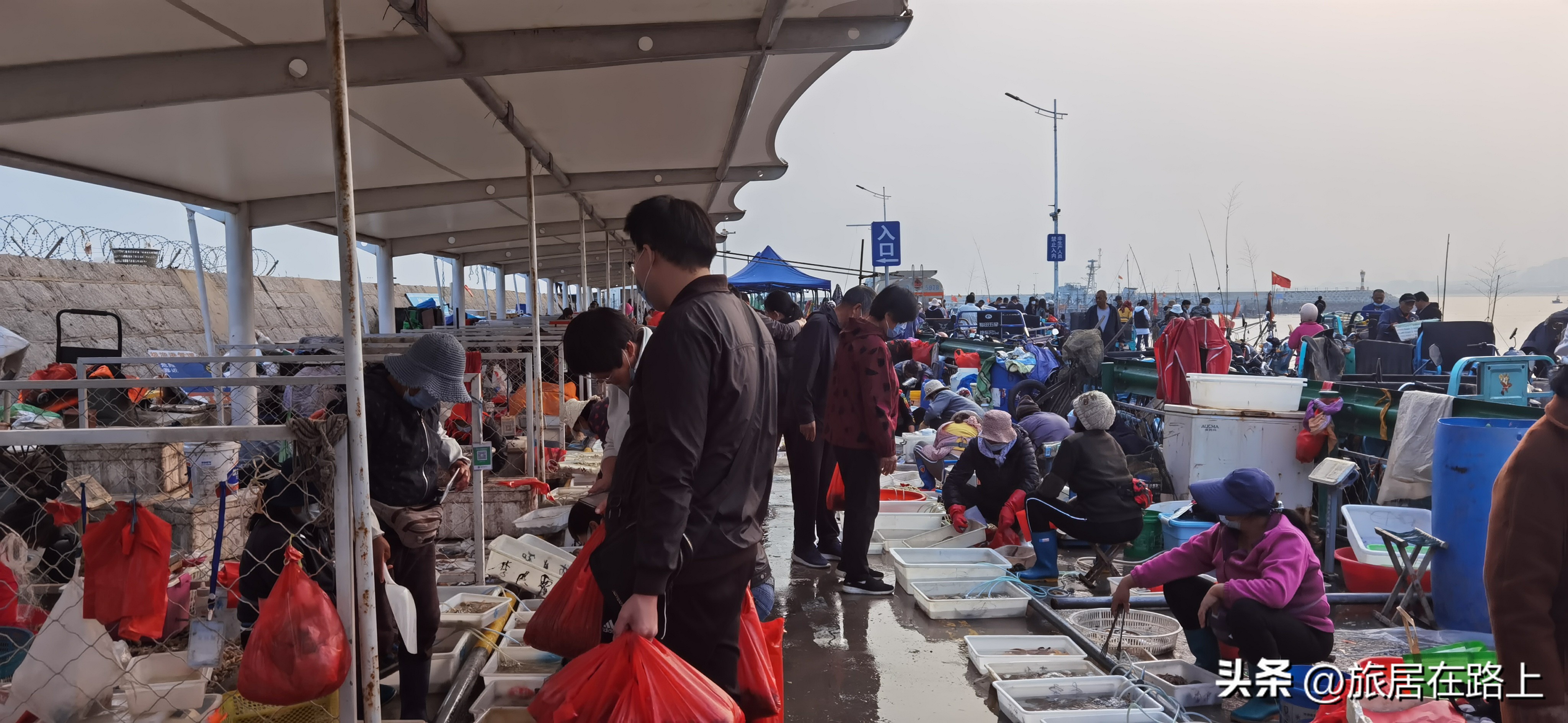 日照天气,日照直播