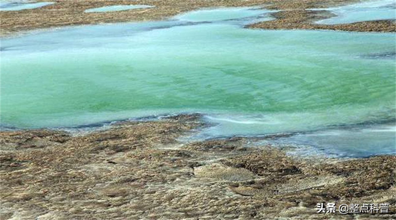 罗布泊死亡之海现状,罗布泊再现碧波荡漾