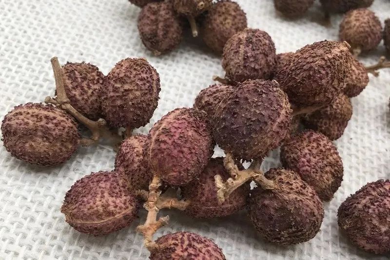 12种香料及分量,姜科植物的香料有哪些