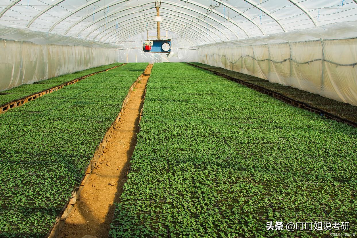 林业大学专业推荐,林业专业推荐