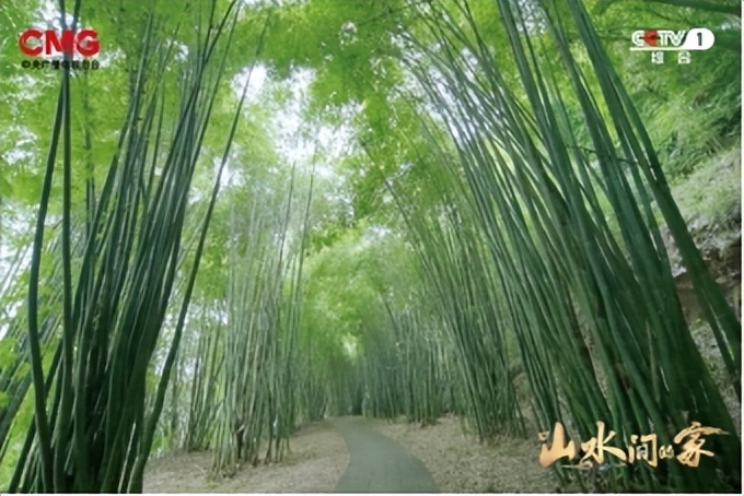 种田就是种风景！《山水间的家》见证乡村十年绿色蝶变