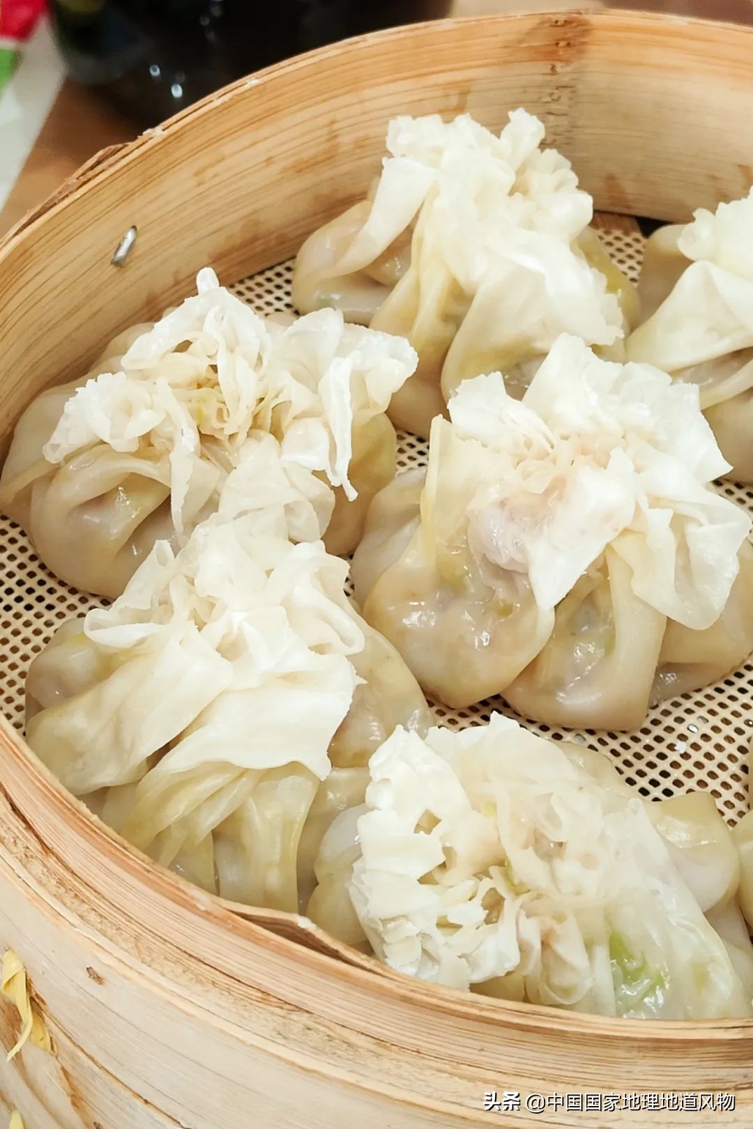 内蒙古呼和浩特的特点,内蒙古呼和浩特有什么特色