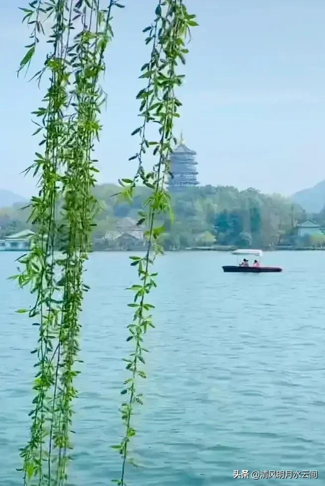 依依垂柳，妖妖春水