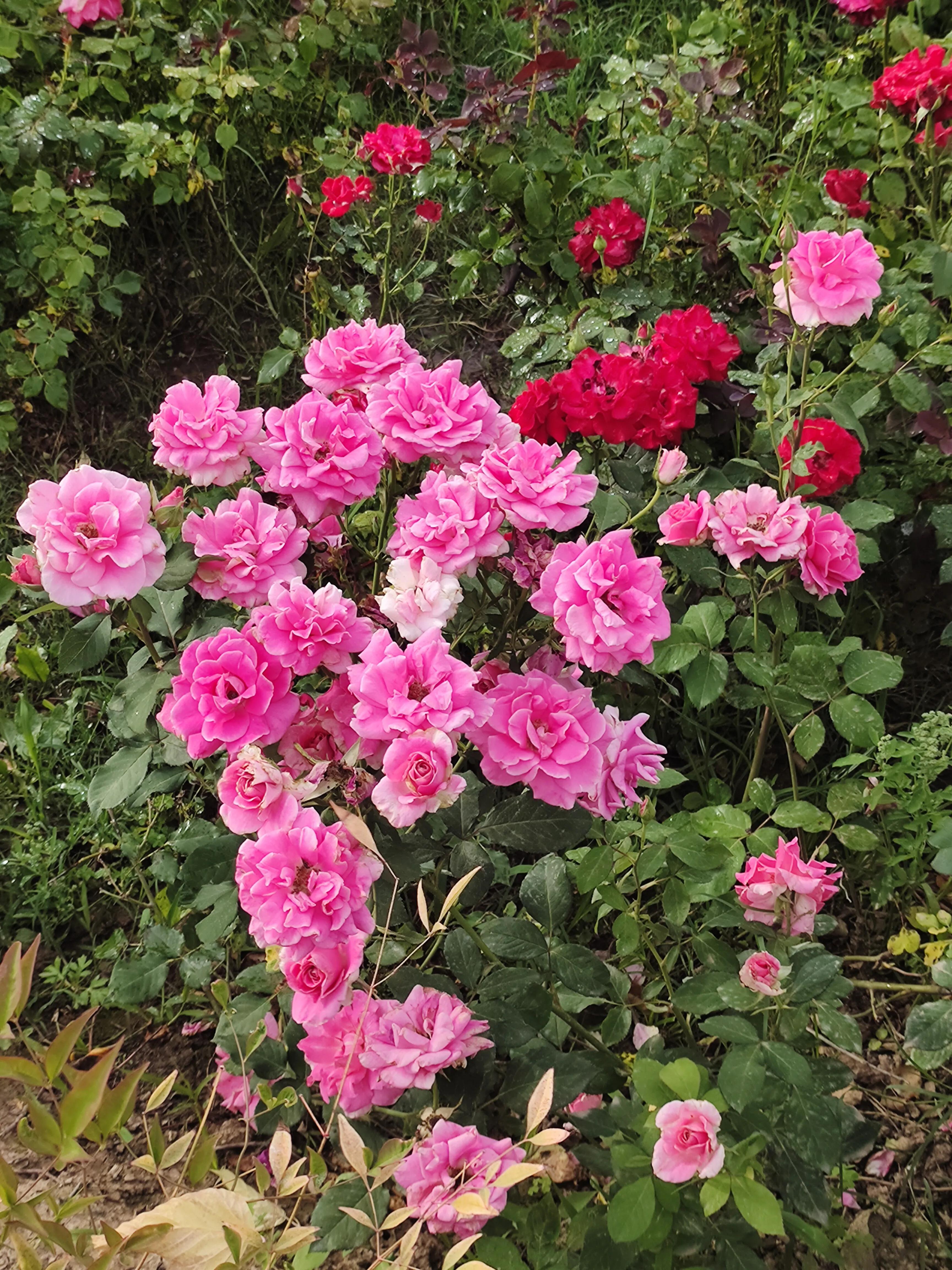 女人为什么不喜欢型男,女人如果不喜欢你会有哪些表现