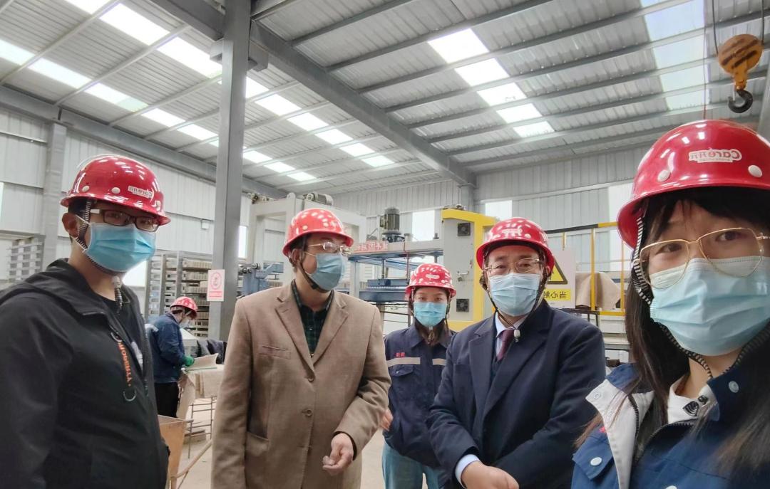 喜报多人获奖,获奖喜报全部