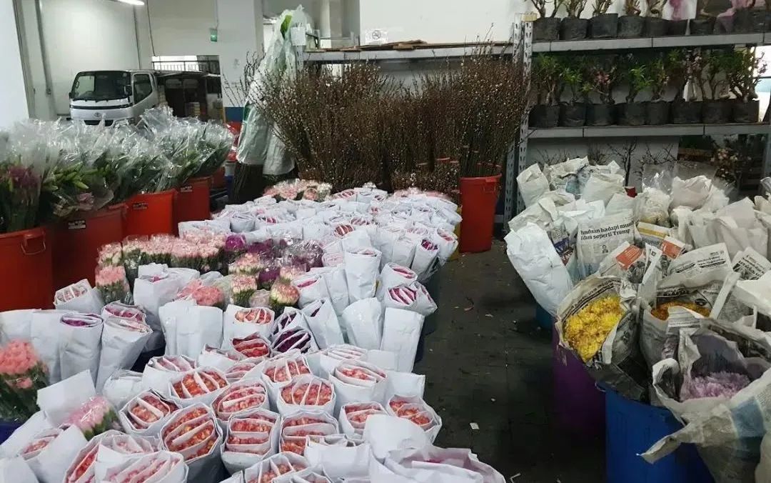 新手必看鲜花养护攻略,鲜花在水里能养几天会死