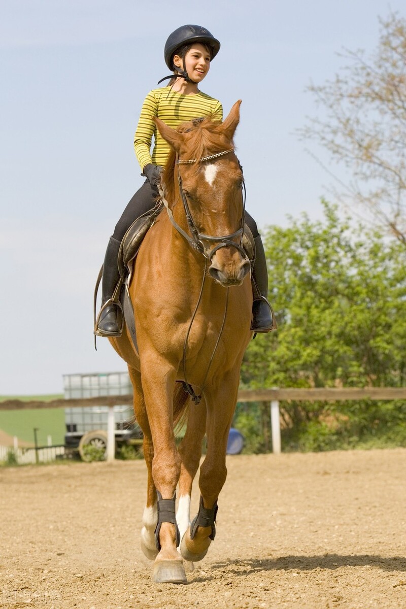 上海建工最新分析,上海建工深度分析