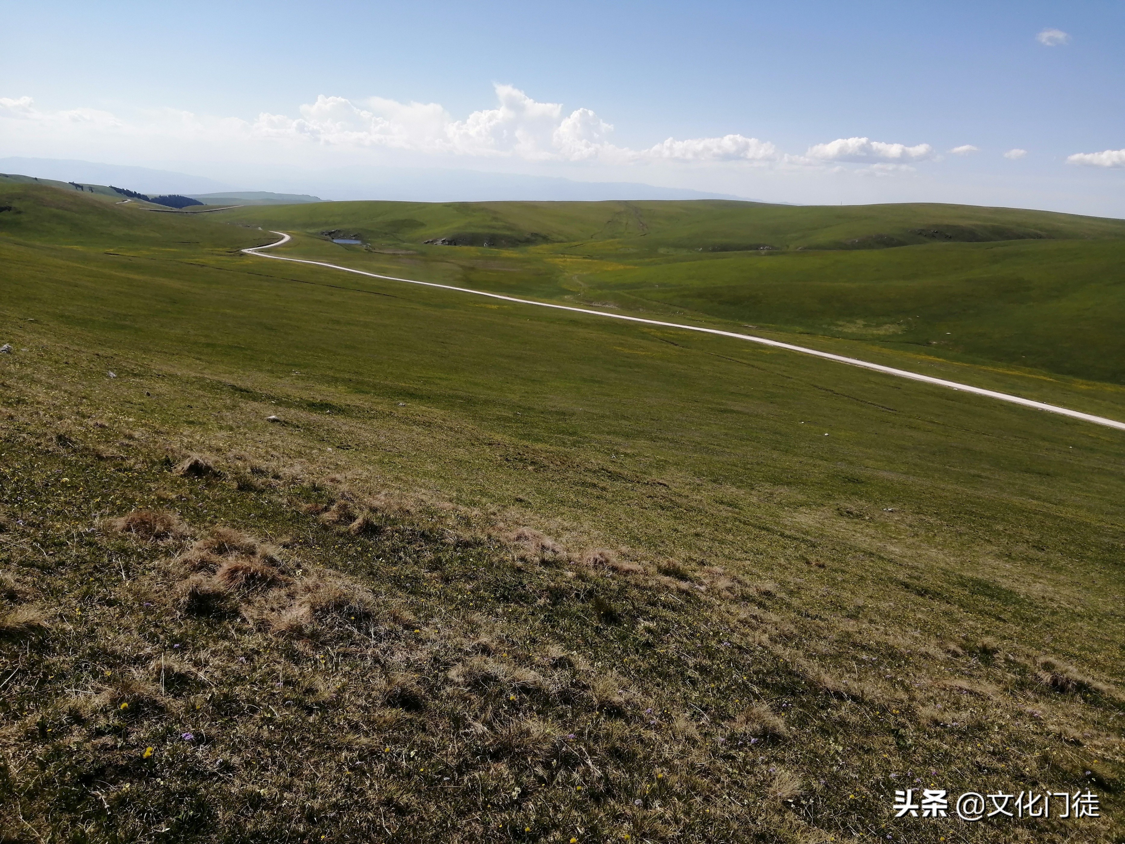 喀拉峻大草原导游词,喀拉峻草原导游词1000字
