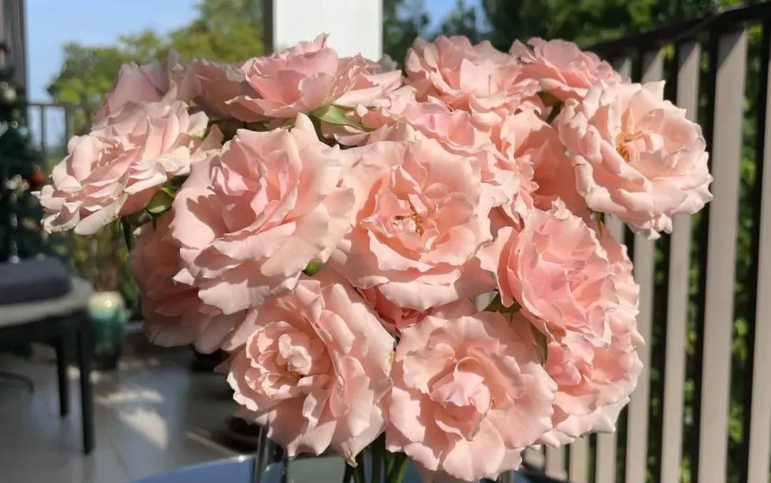 新手必看鲜花养护攻略,鲜花在水里能养几天会死