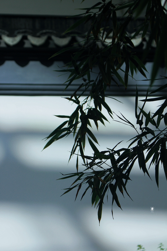 苏州小众宝藏博物馆,北京宝藏博物馆国家级