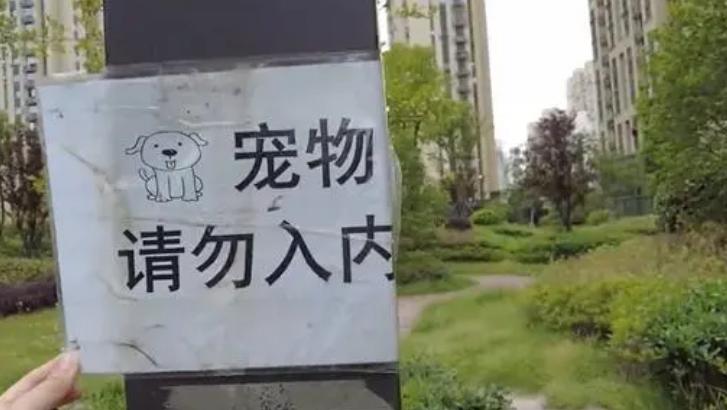 法治热点早知道鲍某某,法治热点事件最新消息