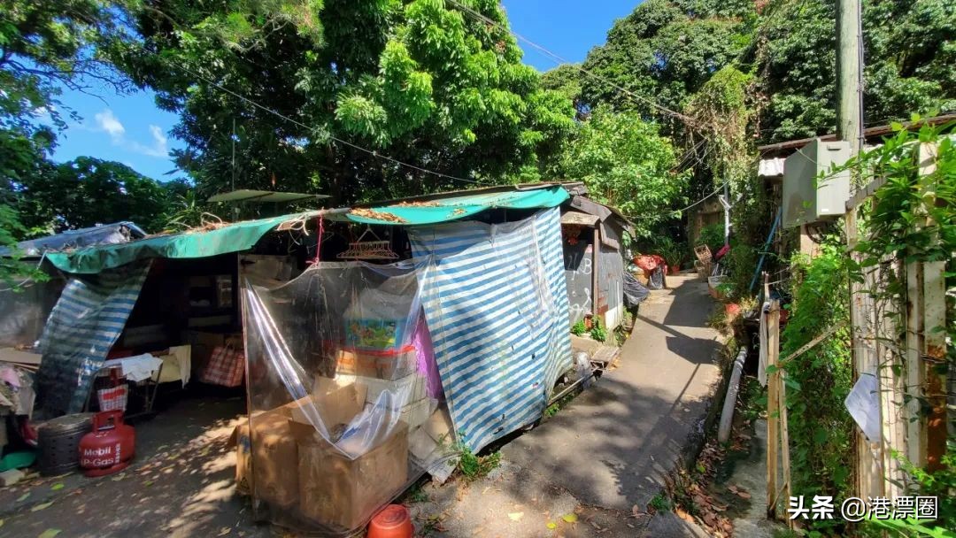 香港有钱人真实生活,香港富翁体验底层生活