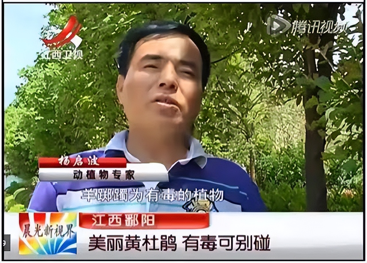 养花风水禁忌事项图片欣赏,露台养花风水禁忌图片大全