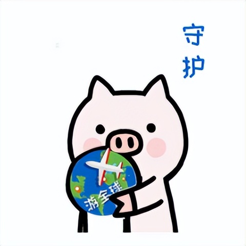 出国旅游提醒事项,国外旅游如何应急